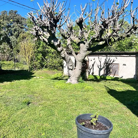 Διαμέρισμα Provencal Au Calme A 20 Min D'avignon Lirac