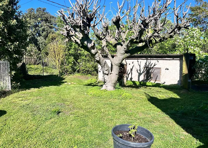 Апартаменты Provencal Au Calme A 20 Min D'avignon Lirac