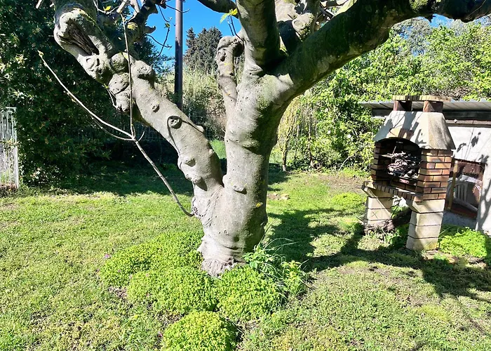 Provencal Au Calme A 20 Min D'avignon * Lirac